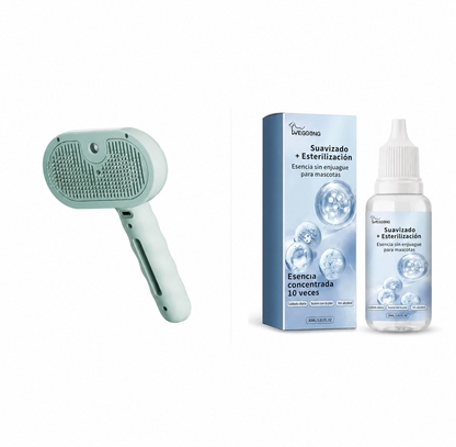 Cepillo de Vapor (2 en 1)